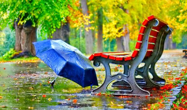 عکس پاییز نیمکت