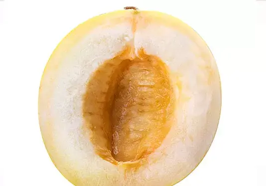 عکس از کلم بروکلی