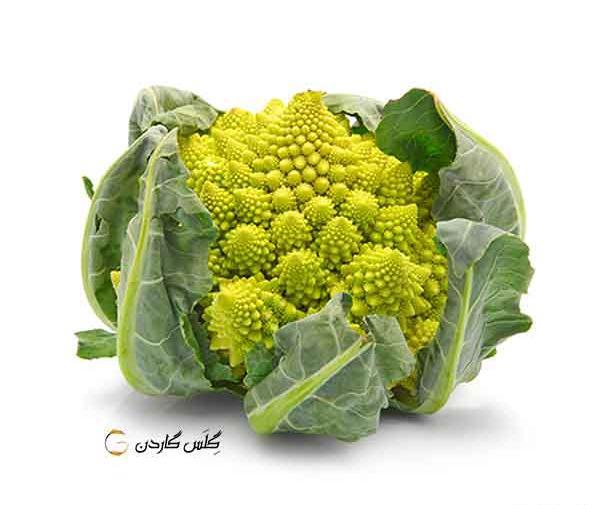 عکس از کلم بروکلی