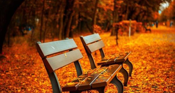 عکس ماه پاییز برای پروفایل