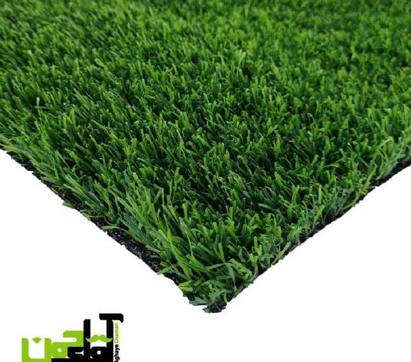 عکس خرگوش تزئینی