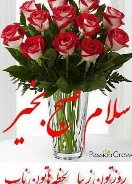 سلام داداش عکس صبح بخیر داداشی