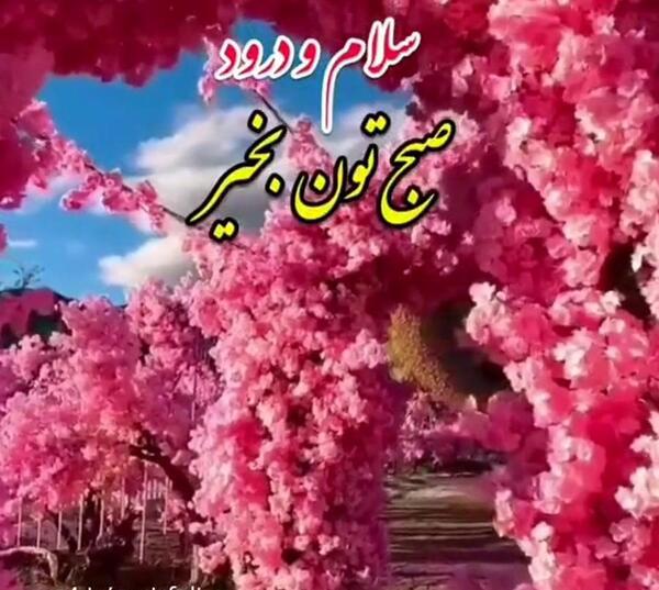 سلام داداش عکس صبح بخیر داداشی
