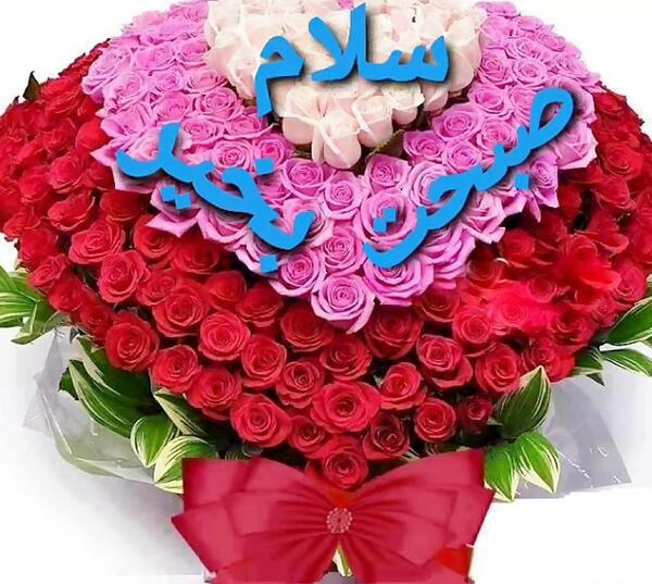 سلام داداش عکس صبح بخیر داداشی