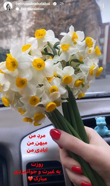 عکس همسر جدید بهنوش طباطبائی
