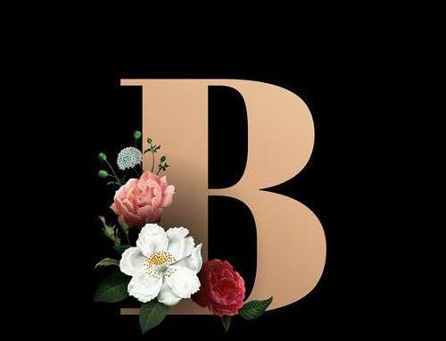عکس نوشته حرف انگلیسی b