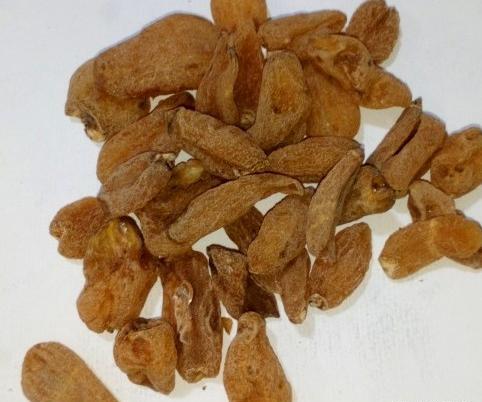عکس تصویر ثعلب بستنی