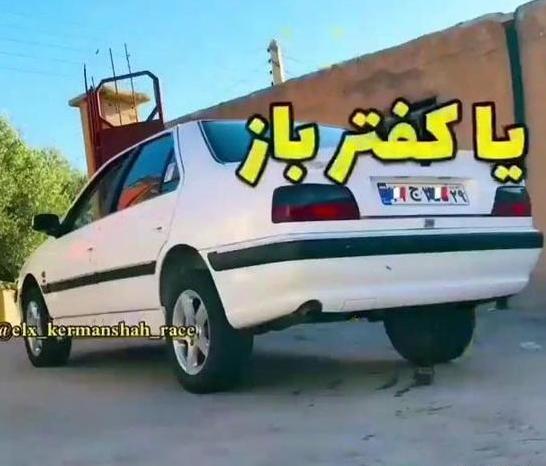 عکس پروفایل کفتر لاتی