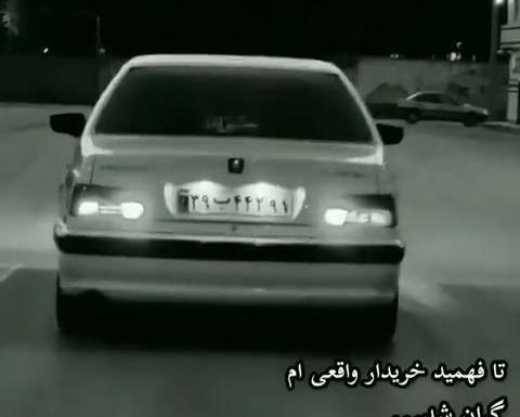 عکس پروفایل کفتر لاتی