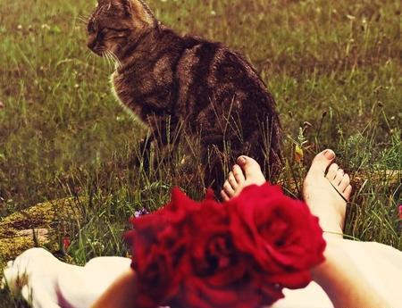 عکس نوشته های زیبا جدیدترین