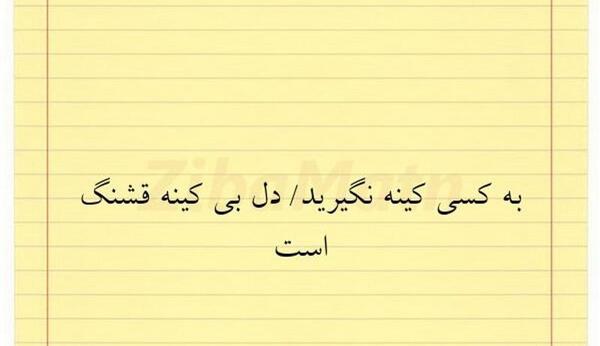 عکس زمین گرده منم کینه ای