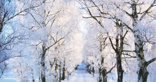 عکس زمستان خانه