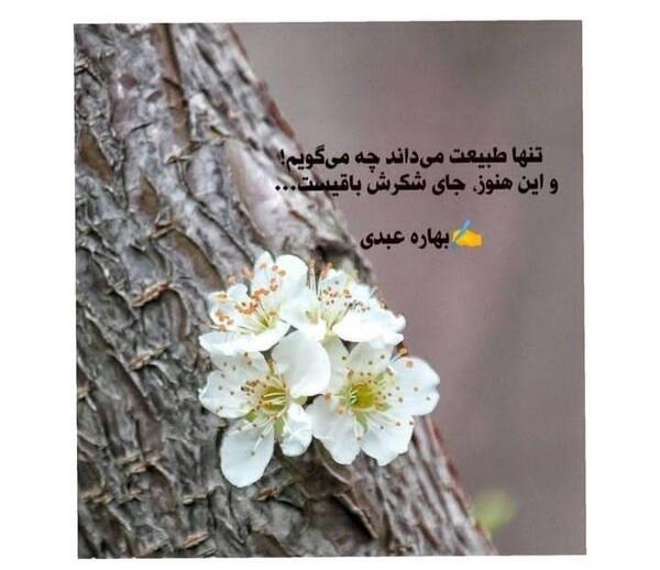 عکس نوشته طبیعت جدید