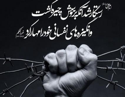 عکس عنکبوت خفن