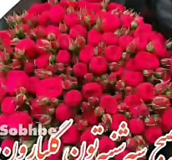 عکس نوشته سلام صبح سه شنبتون بخیر