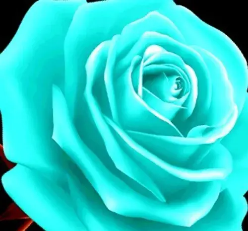 عکس گل سبز آبی