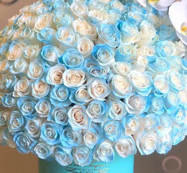 عکس گل سبز آبی
