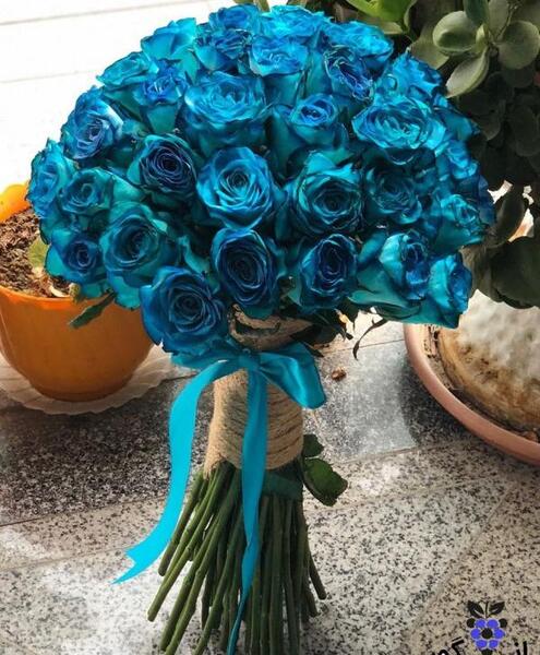 عکس گل سبز آبی