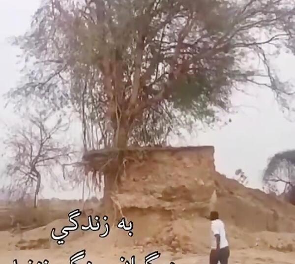 عکس نوشته تیکه دار دخالت در زندگی