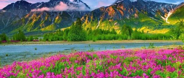 عکس تصویر پس زمینه طبیعت برای کامپیوتر