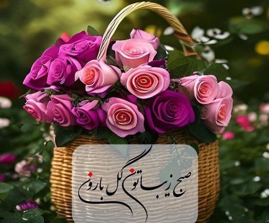 عکس نوشته سلام صبح بخیر روز خوبی داشته باشید