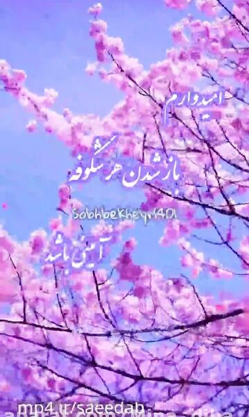 عکس نوشته سلام صبح بخیر روز خوبی داشته باشید