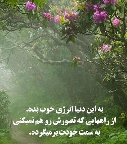عکس نوشته سلام صبح بخیر روز خوبی داشته باشید