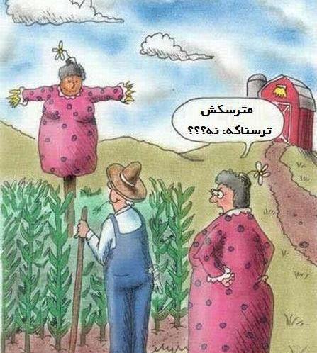 عکس روز