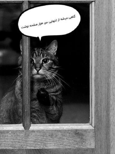 عکس گربه غمگین برای پروفایل بدون متن