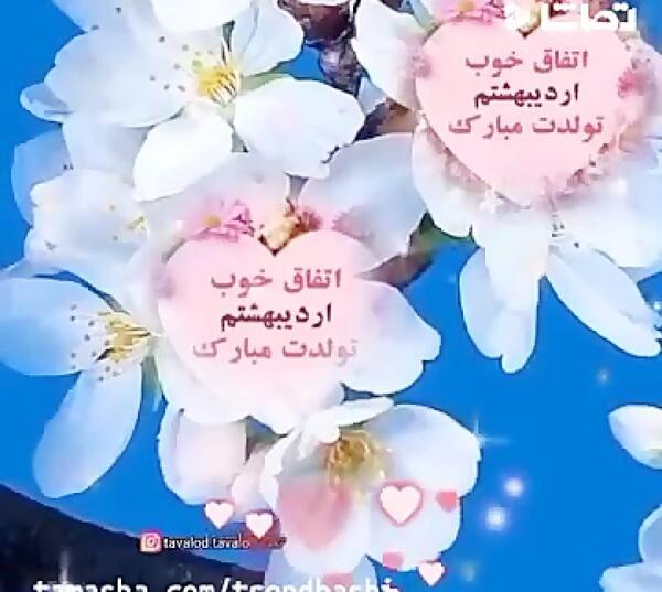 عکس نوشته تولدت مبارک معصومه جونم