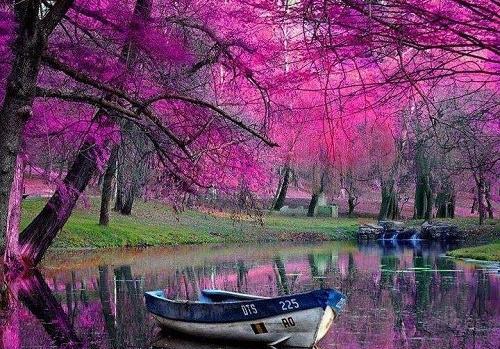 عکس بهشت زیبای خداوند