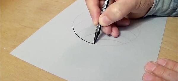 عکس نقاشی سیاه قلم حیوان ساده