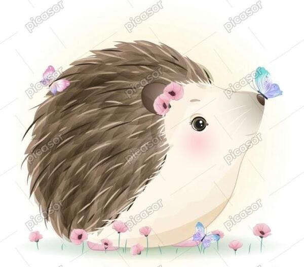 عکس جوجه تیغی برای تصویر زمینه