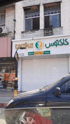 عکس پیتزا زمین