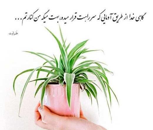 عکس نوشته جدید ۱۴۰۱
