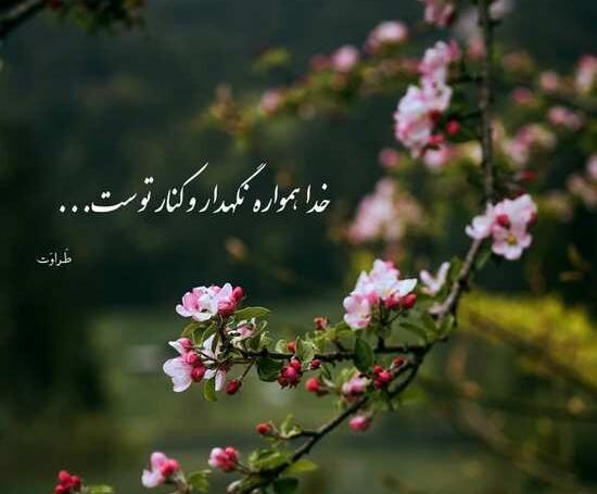 عکس نوشته جدید ۱۴۰۱