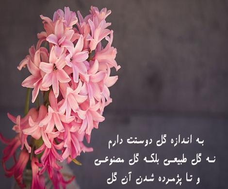 عکس نوشته گل های زیبا برای پروفایل
