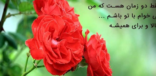 عکس نوشته گل های زیبا برای پروفایل