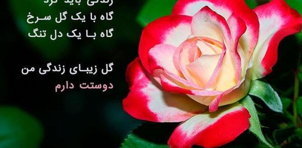 عکس نوشته گل های زیبا برای پروفایل