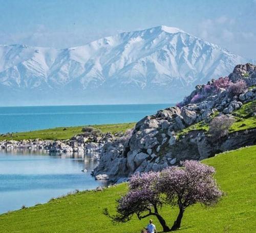 عکس هتل های وان ترکیه