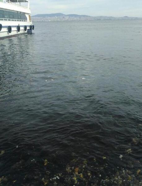 عکس دریای ترکیه