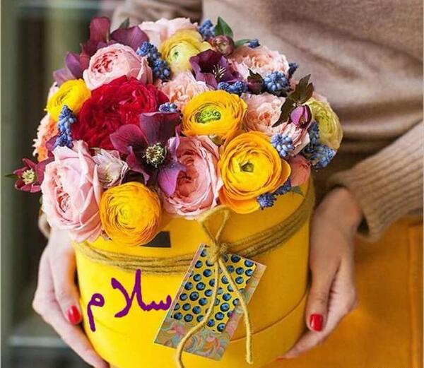 عکس نوشته سلام عصر بخیر