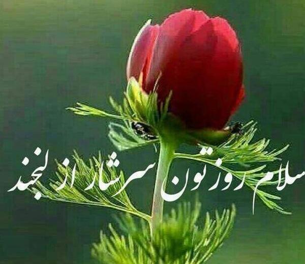 عکس نوشته سلام عصر بخیر