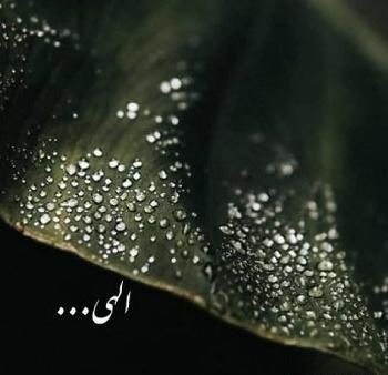 عکس تصاویر شب بخیر انگیزشی