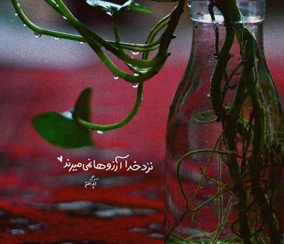 عکس نوشته از زندگیت میرم بیرون