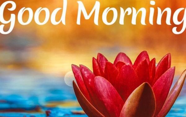 عکس پروفایل آیدا به انگلیسی