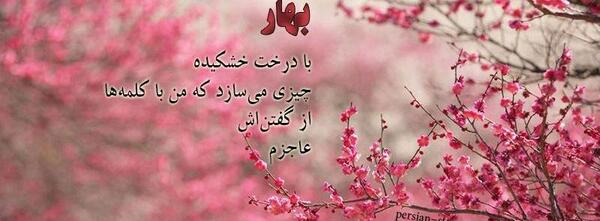 جدیدترین عکس نوشته دخترونه