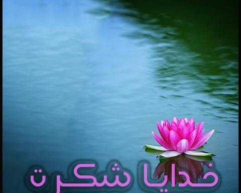 عکس پروفایل خدایا شکرت بابت همه چی
