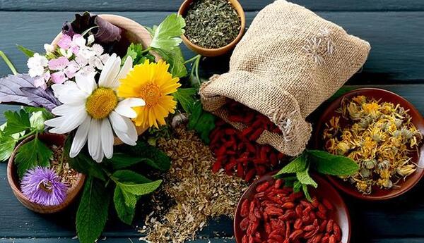 عکس برای گروه طب سنتی