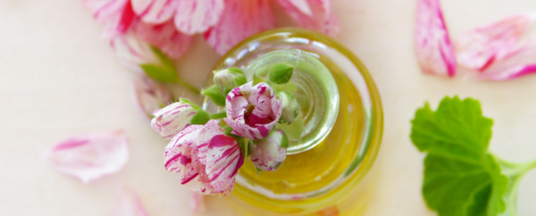 عکس برای گروه طب سنتی